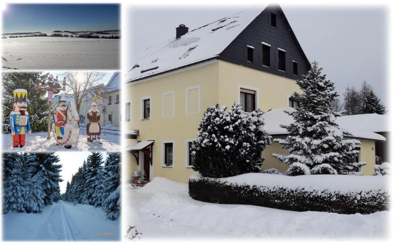 Ferienwohnung Floehatalblick Olbernhau Bagian luar foto