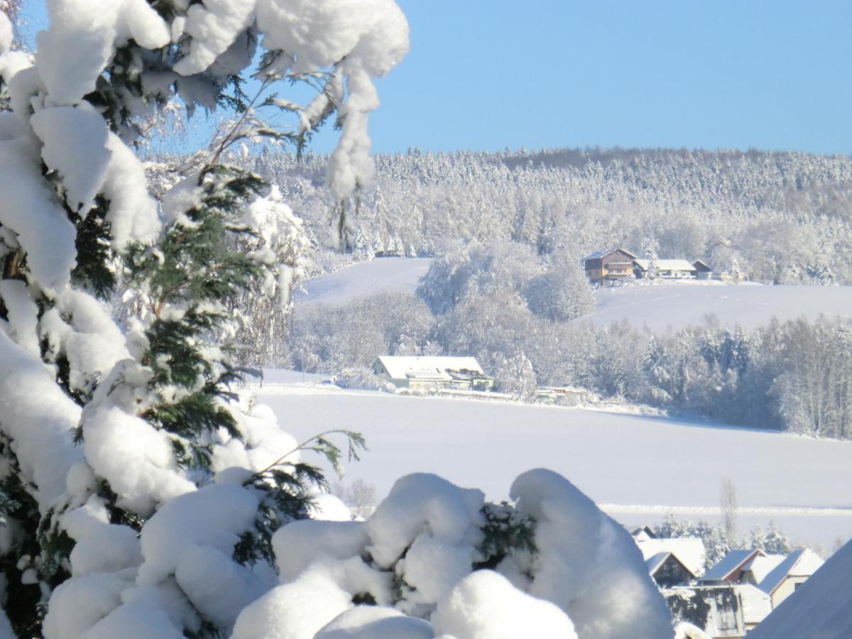 Ferienwohnung Floehatalblick Olbernhau Bagian luar foto